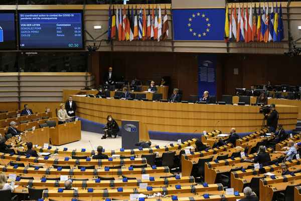 European Parliament Translation Contract 2022