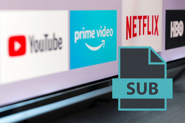Subtitling for Streaming Boom