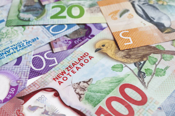 Translation Agency Straker Translations Reporting Full-Year Figures 2021