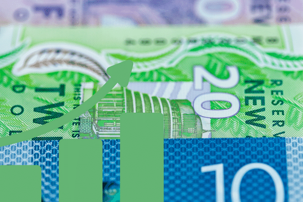 Straker Translations Quarterly Results