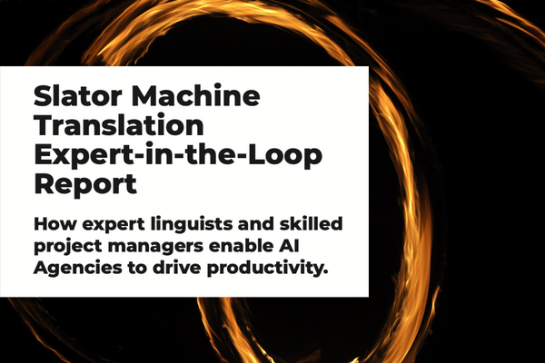 MT Expert-in-the-Loop Report Image