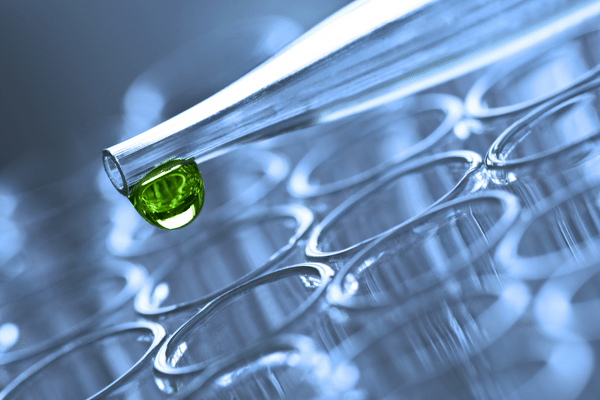 Summa Linguae Buys Poland-based Life Sciences LSP Getit