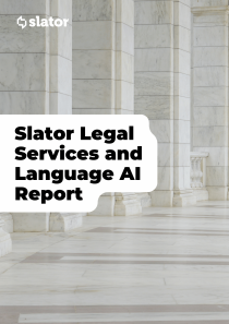 MAIN IMAGE - 2025 Legal Report (1)