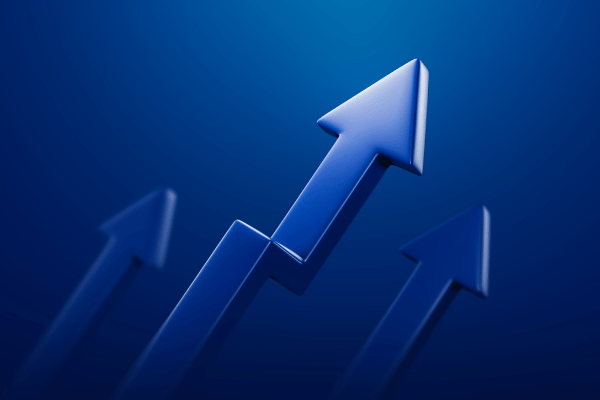 STAR7 Strategy Pays Off with 15% Increase in FY24 Revenue