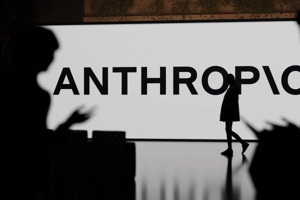 Anthropic Translator Use
