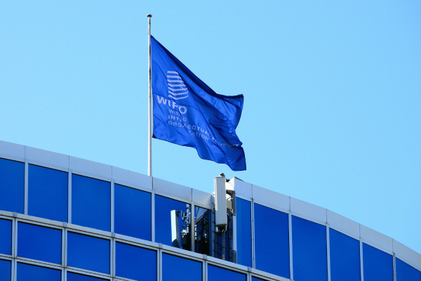 Deadline Looms for WIPO Translation Chief Hire with Nearly USD 150k Salary
